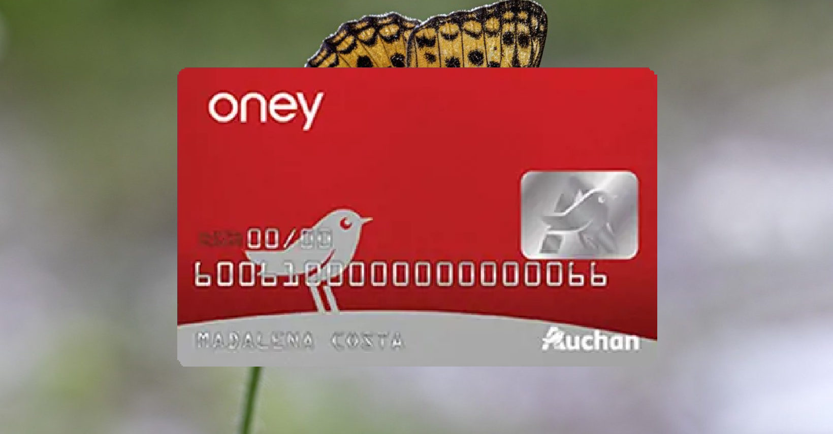 Como Solicitar o Cartão de Crédito Oney Auchan em 5 Passos Simples
